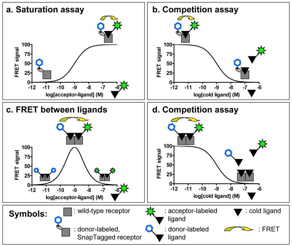 Pharmaceuticals 04 00202f4 1024