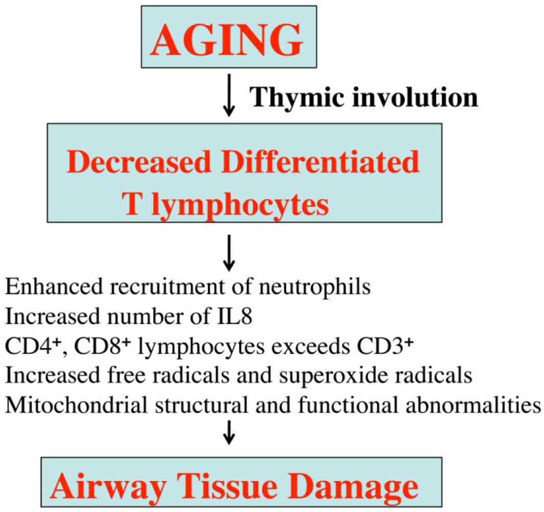 Pharmaceuticals 04 00429f4 1024