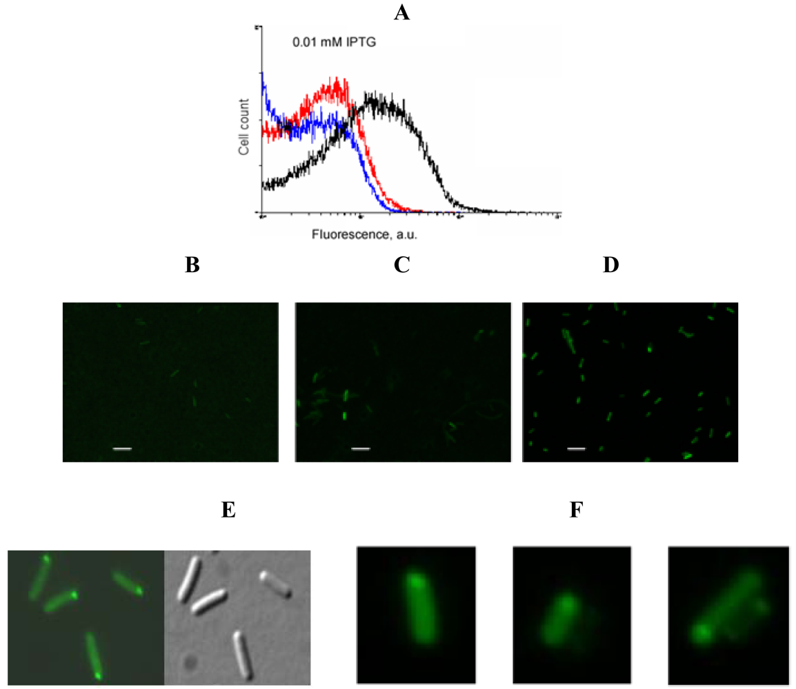 Pharmaceuticals 04 00494f5 1024