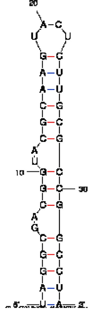 Pharmaceuticals 04 00494t2