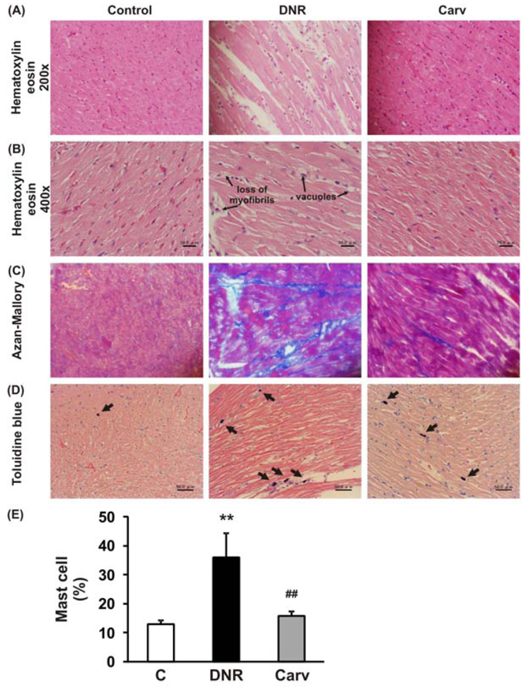 Pharmaceuticals 04 00551f2 1024