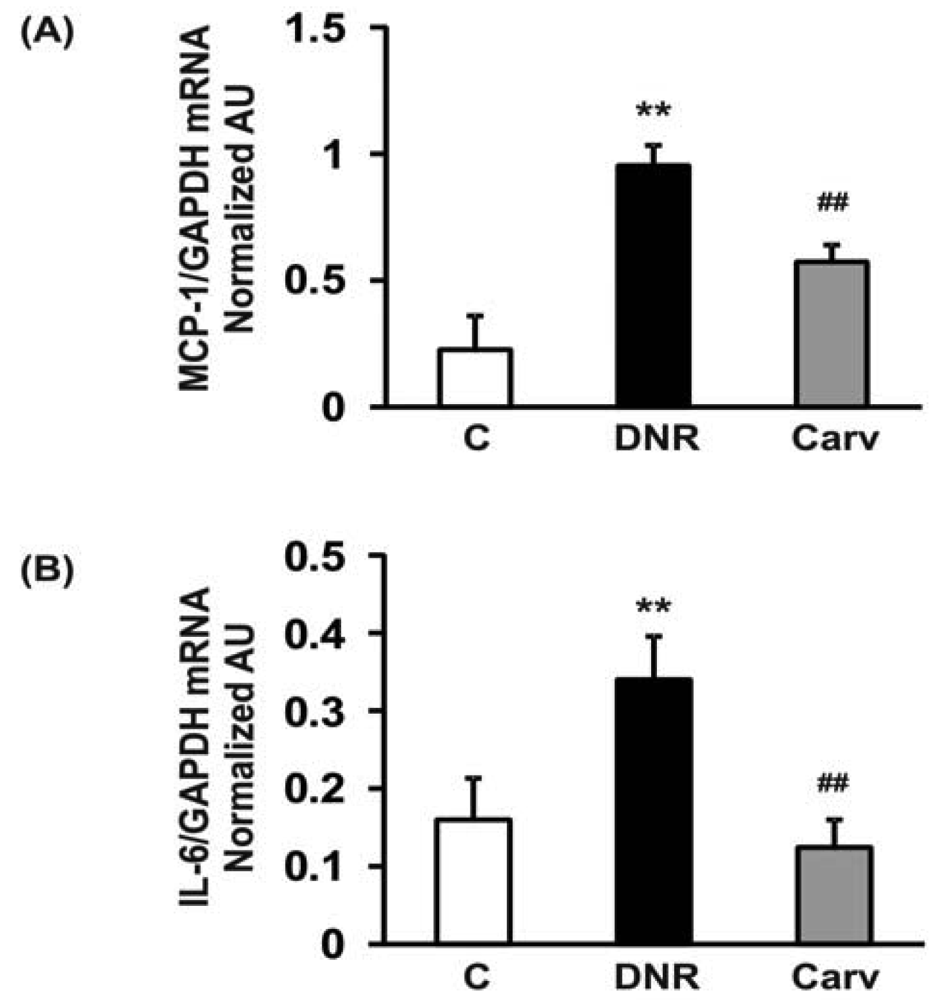 Pharmaceuticals 04 00551f4 1024