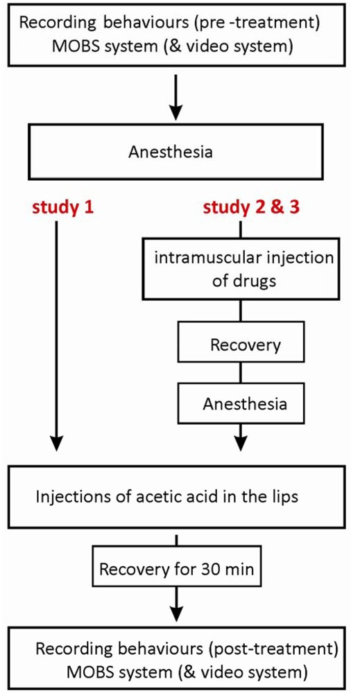 Pharmaceuticals 04 00665f1 1024