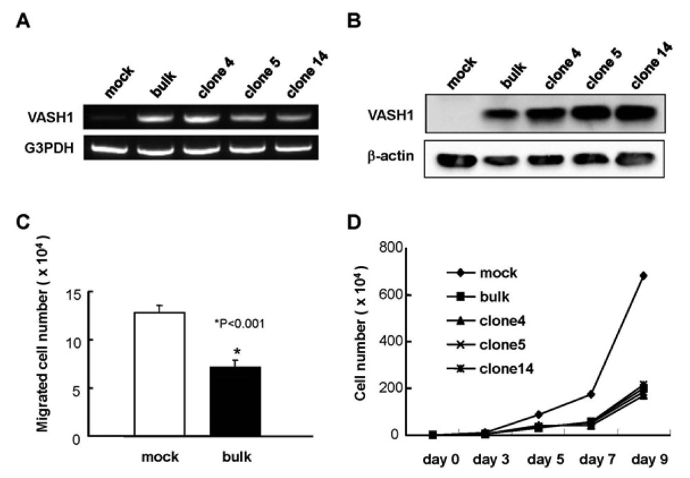 Pharmaceuticals 04 00782f1 1024