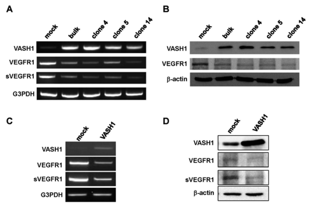 Pharmaceuticals 04 00782f3 1024
