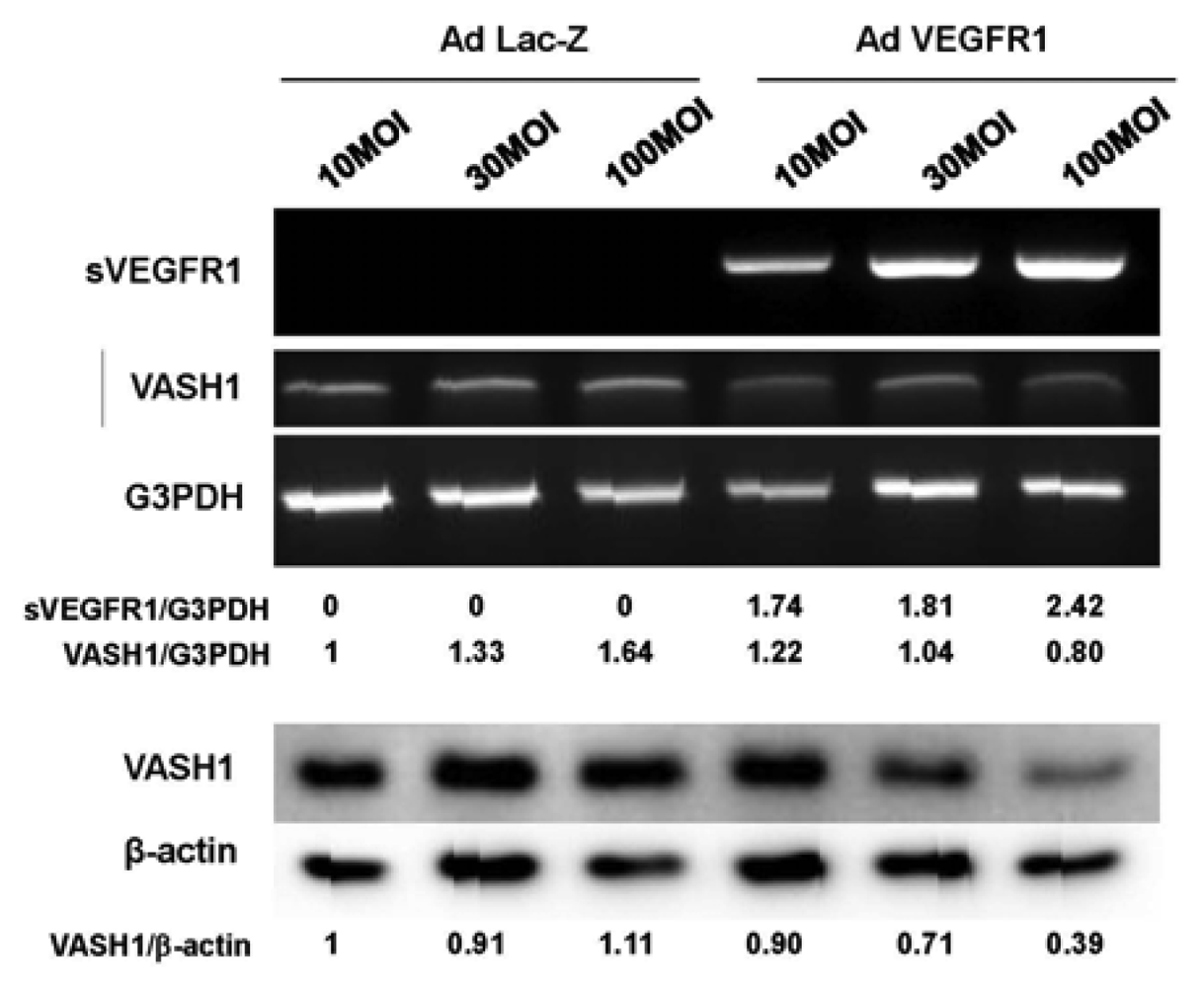 Pharmaceuticals 04 00782f4 1024