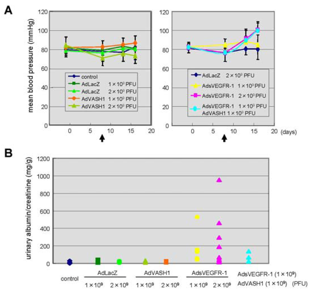 Pharmaceuticals 04 00782f5 1024