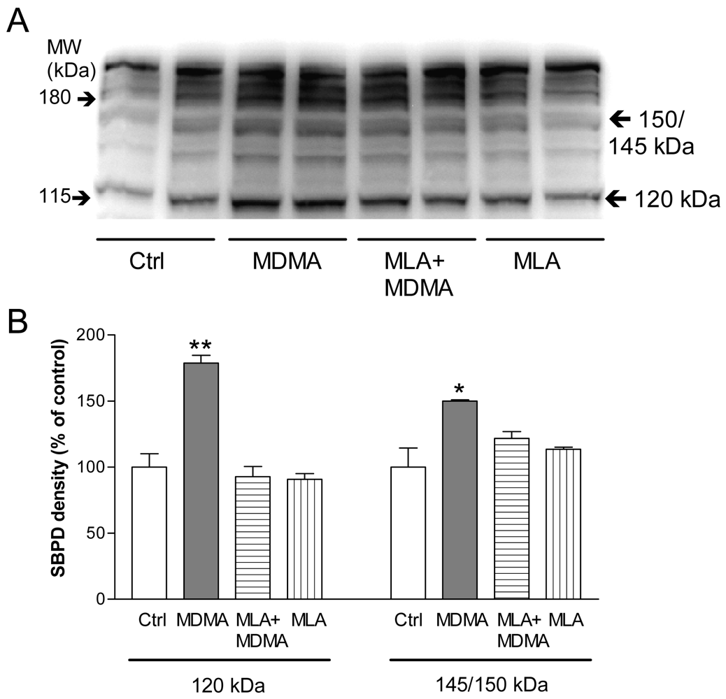 Pharmaceuticals 04 00822f9 1024