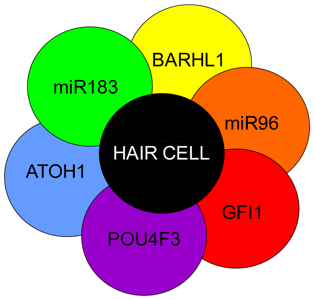 Pharmaceuticals 04 00848f5 1024