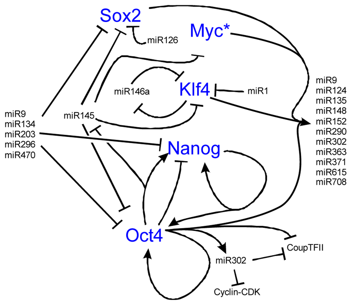 Pharmaceuticals 04 00848f6 1024