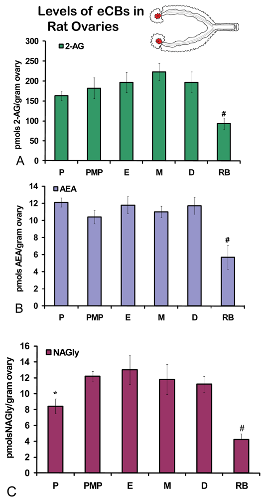 Pharmaceuticals 04 00933f2 1024