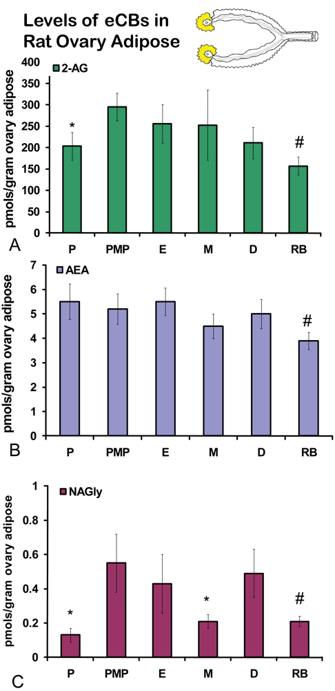 Pharmaceuticals 04 00933f3 1024