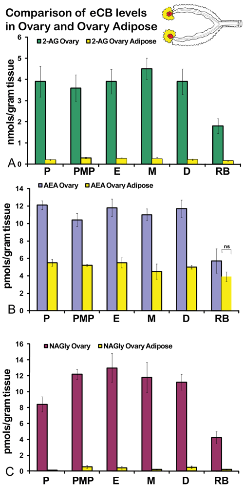 Pharmaceuticals 04 00933f4 1024