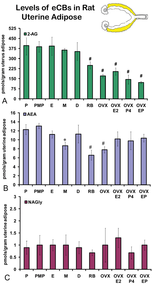 Pharmaceuticals 04 00933f6 1024