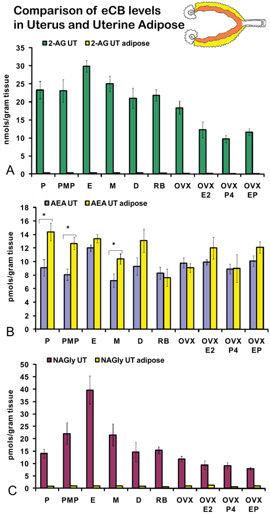 Pharmaceuticals 04 00933f7 1024