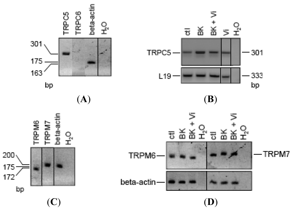 Pharmaceuticals 04 01052f6 1024