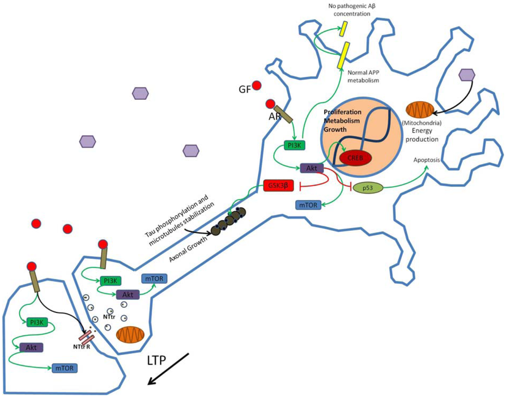 Pharmaceuticals 04 01070f1 1024