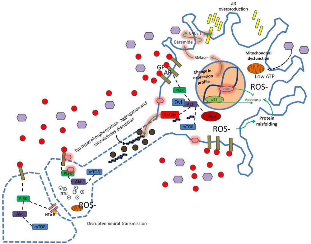 Pharmaceuticals 04 01070f2 1024