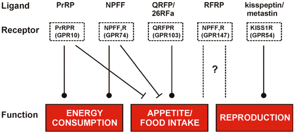 Pharmaceuticals 04 01248f2 1024