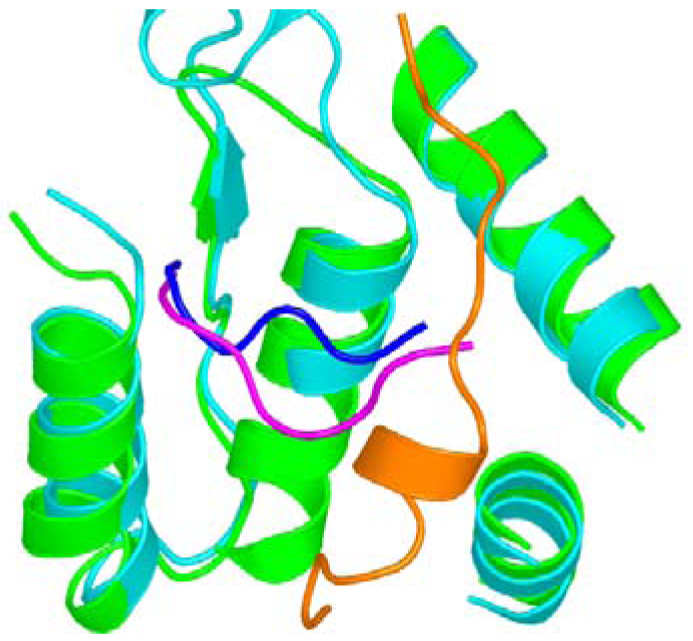 Pharmaceuticals 04 01328f7 1024