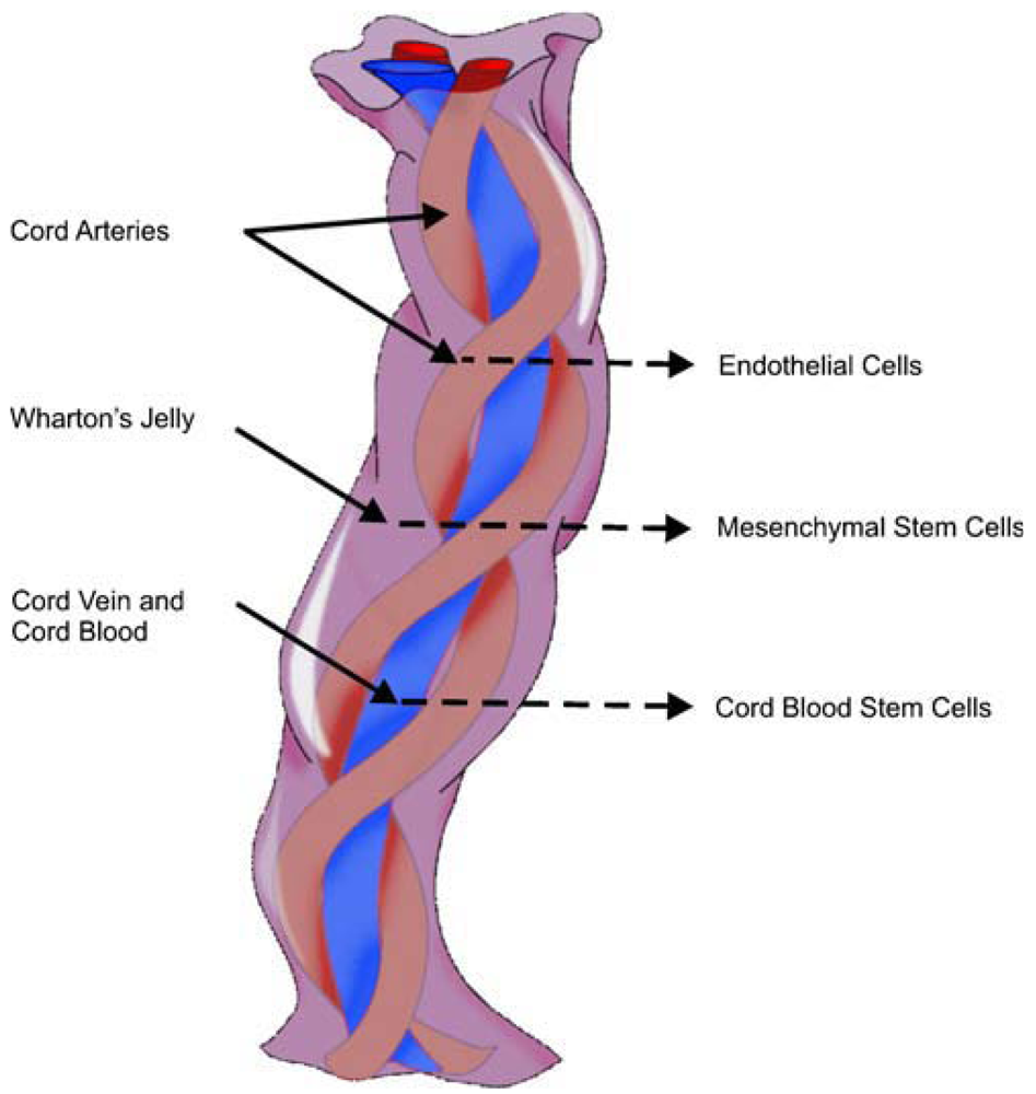 Pharmaceuticals 04 01355f2 1024