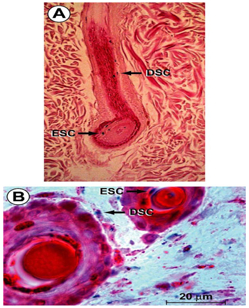 Pharmaceuticals 04 01355f3 1024