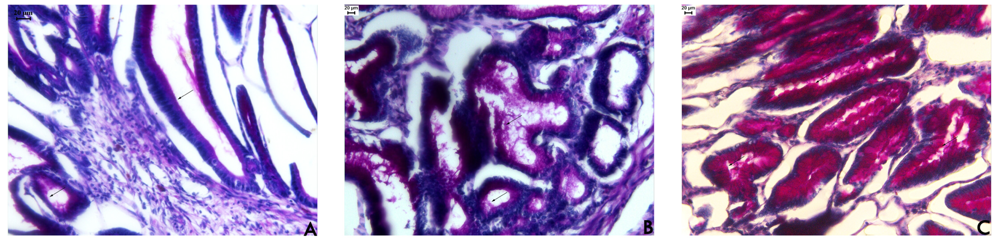 Pharmaceuticals 04 01423f2 1024