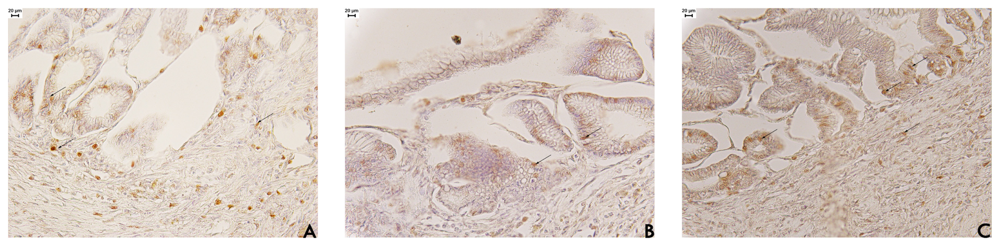 Pharmaceuticals 04 01423f3 1024