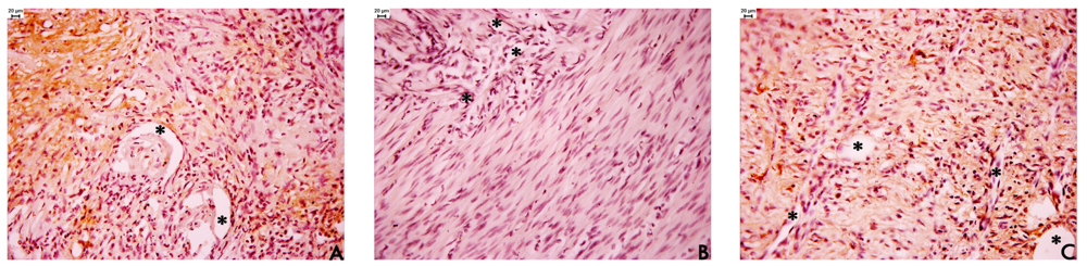 Pharmaceuticals 04 01423f4 1024