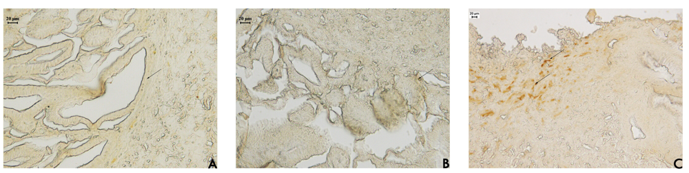 Pharmaceuticals 04 01423f5 1024