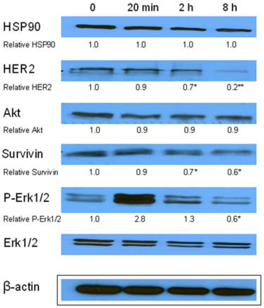 Pharmaceuticals 04 01488f5 1024