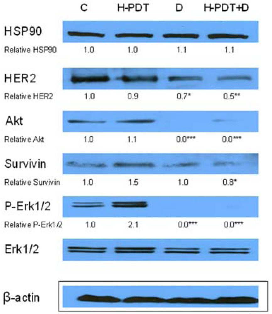 Pharmaceuticals 04 01488f6 1024