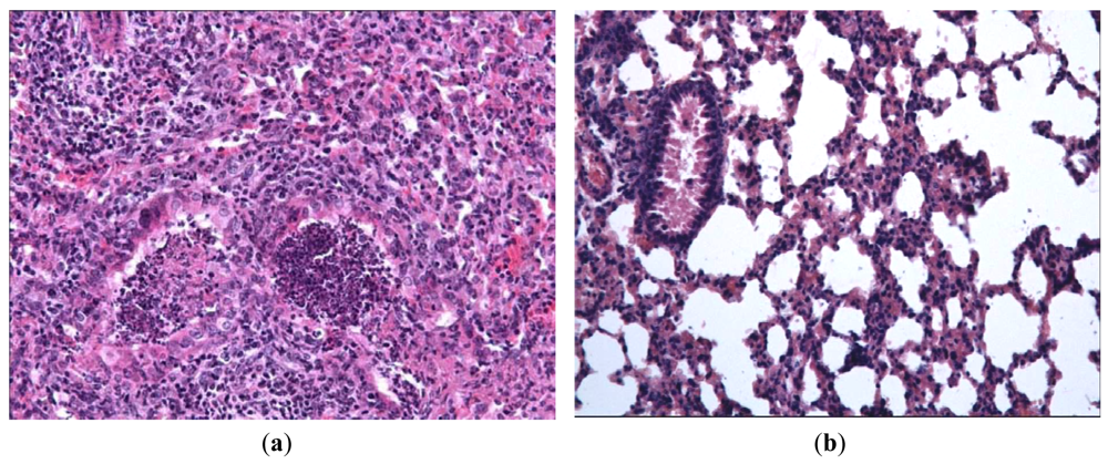 Pharmaceuticals 04 01518f3a 1024