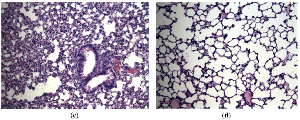 Pharmaceuticals 04 01518f3b 1024