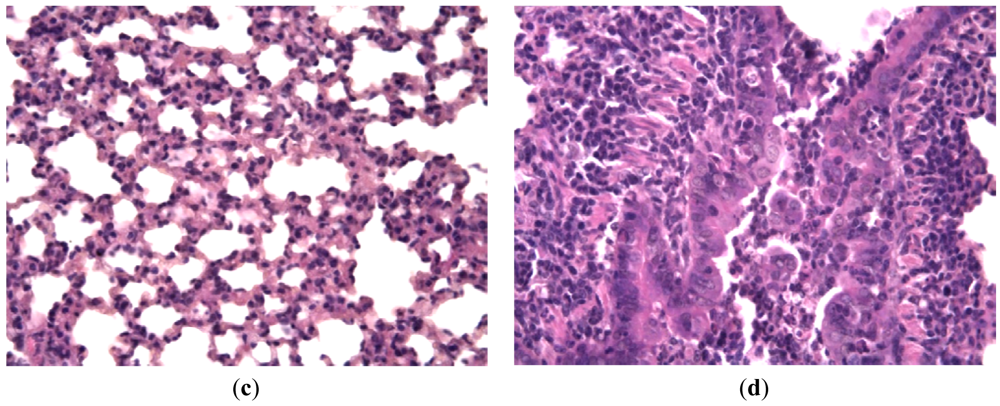 Pharmaceuticals 04 01518f5b 1024