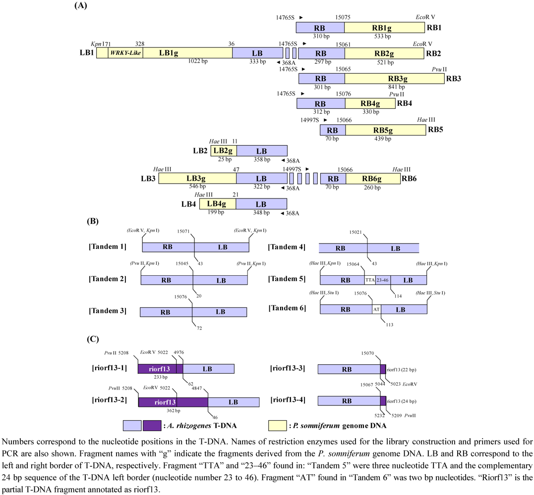 Pharmaceuticals 05 00133 g005 1024