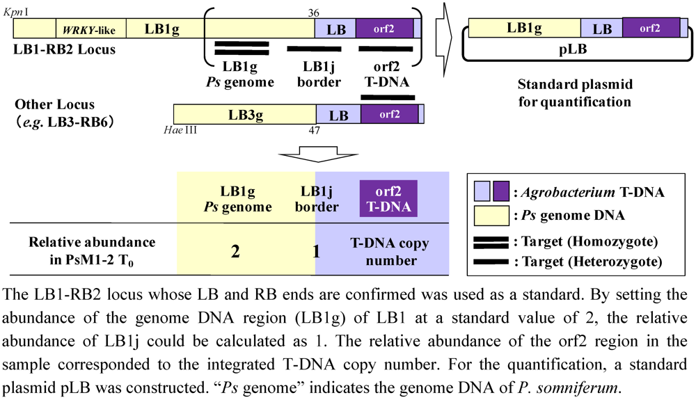 Pharmaceuticals 05 00133 g009 1024