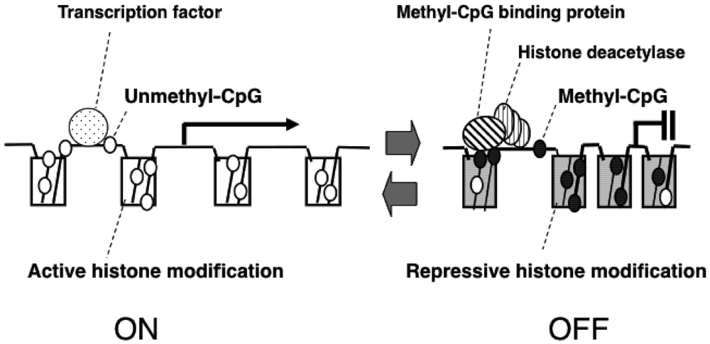 Pharmaceuticals 05 00369 g001