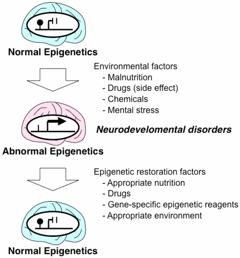 Pharmaceuticals 05 00369 g003