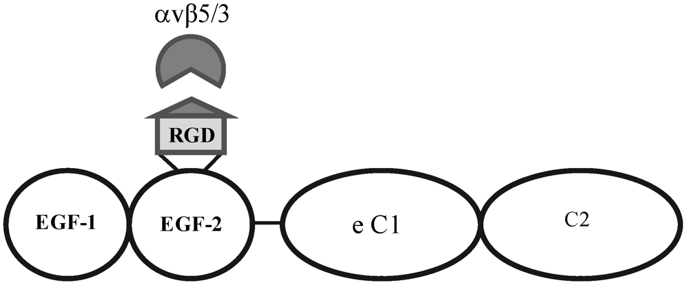 Pharmaceuticals 05 00447 g003 1024