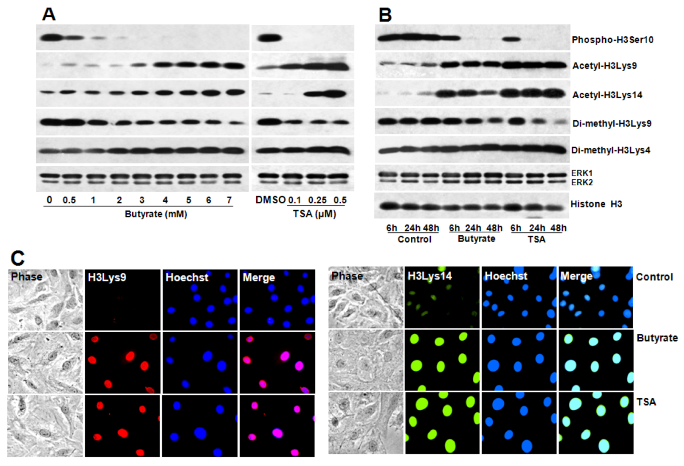 Pharmaceuticals 05 00925 g008