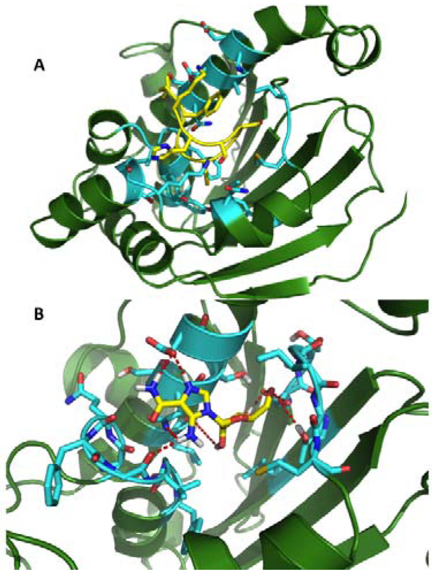 Pharmaceuticals 05 00944 g002