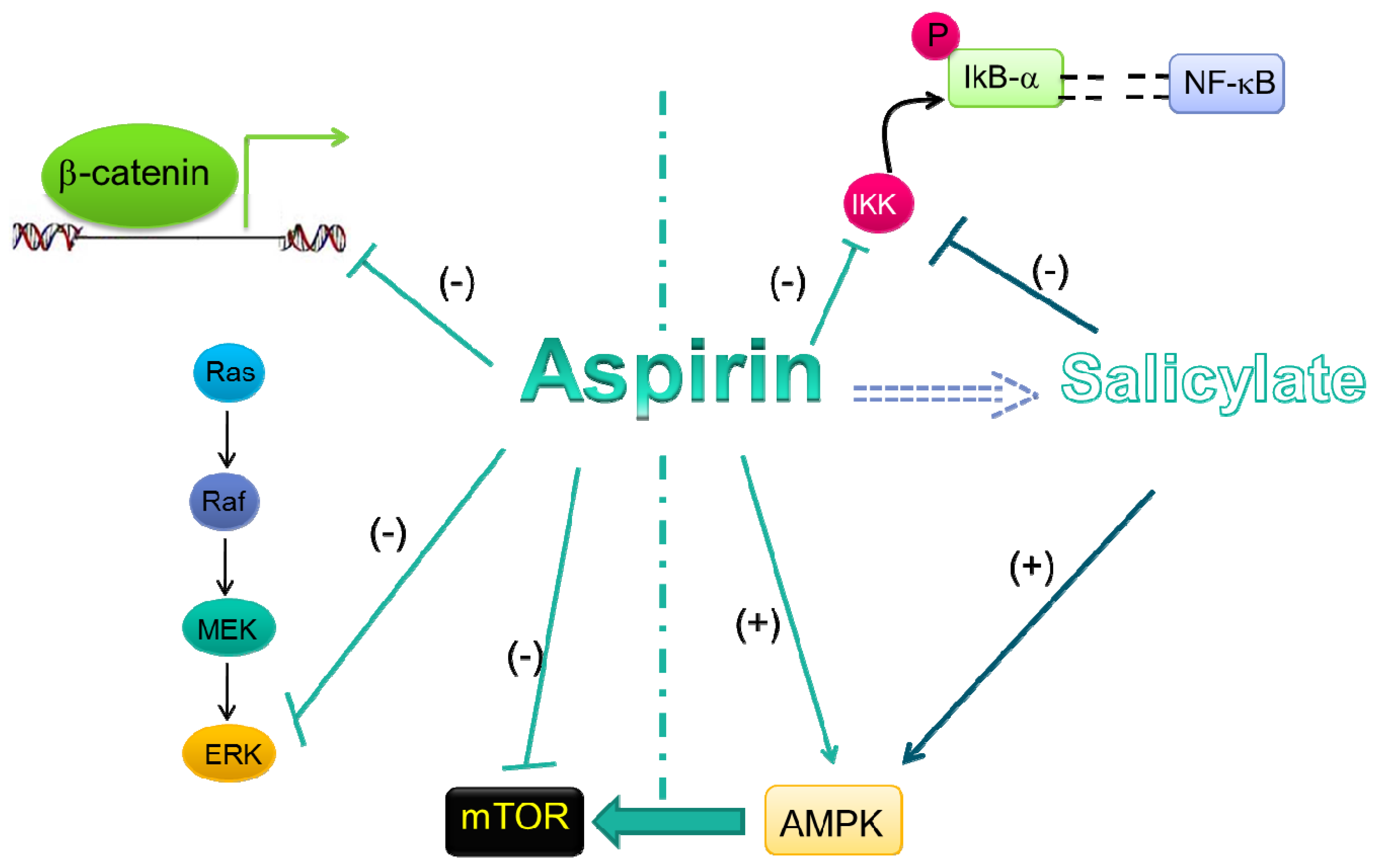 Aspirin Mechanism Of Action / Hemostasis Lesson 5 Antiplatelet Meds (Part 1 of 2 / It