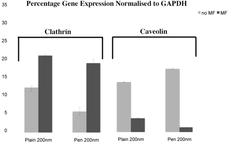 Pharmaceuticals 06 00204 g005 1024