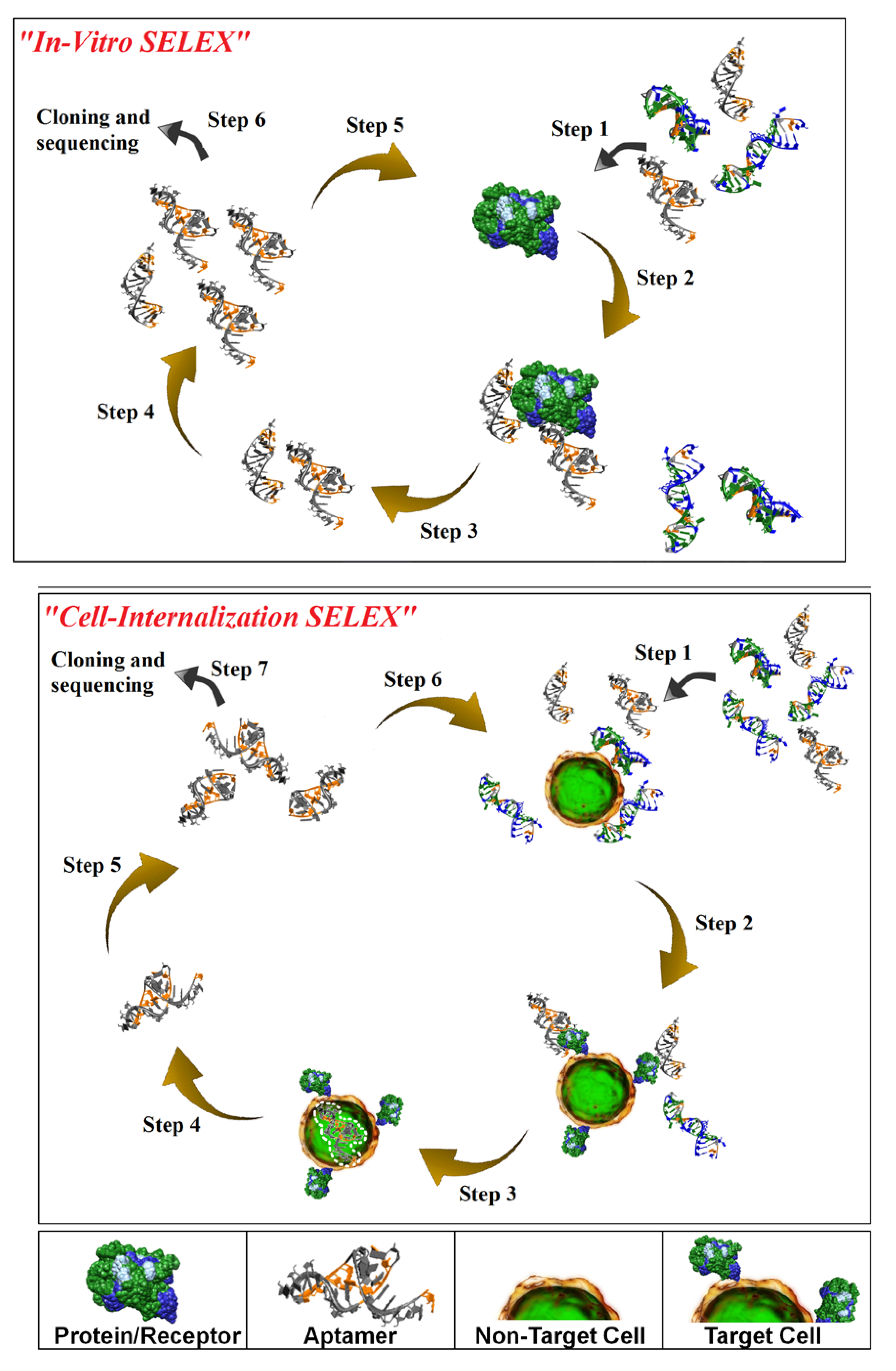 Pharmaceuticals 06 00295 g001 1024