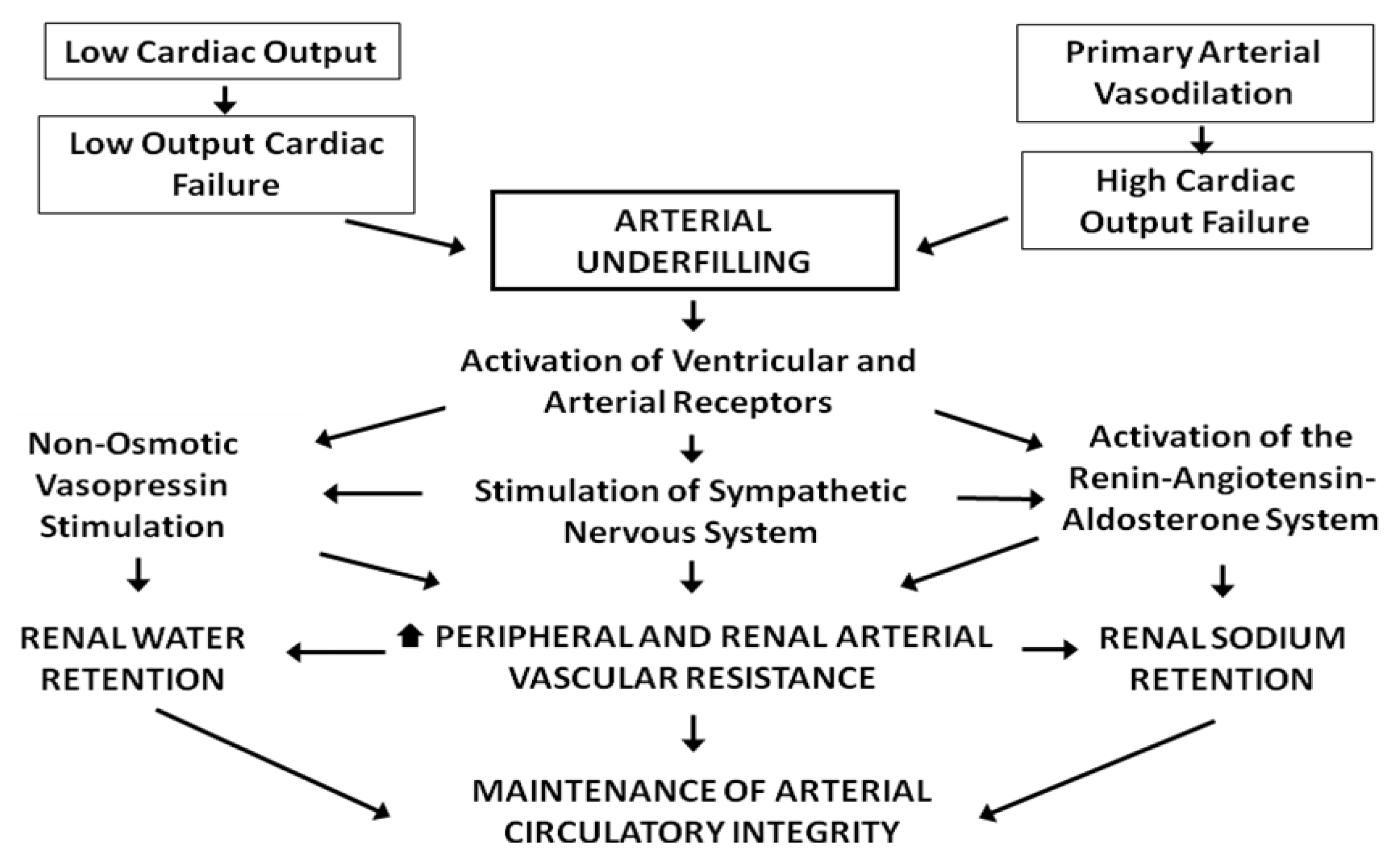 Pharmaceuticals Free FullText Role of Diuretics and