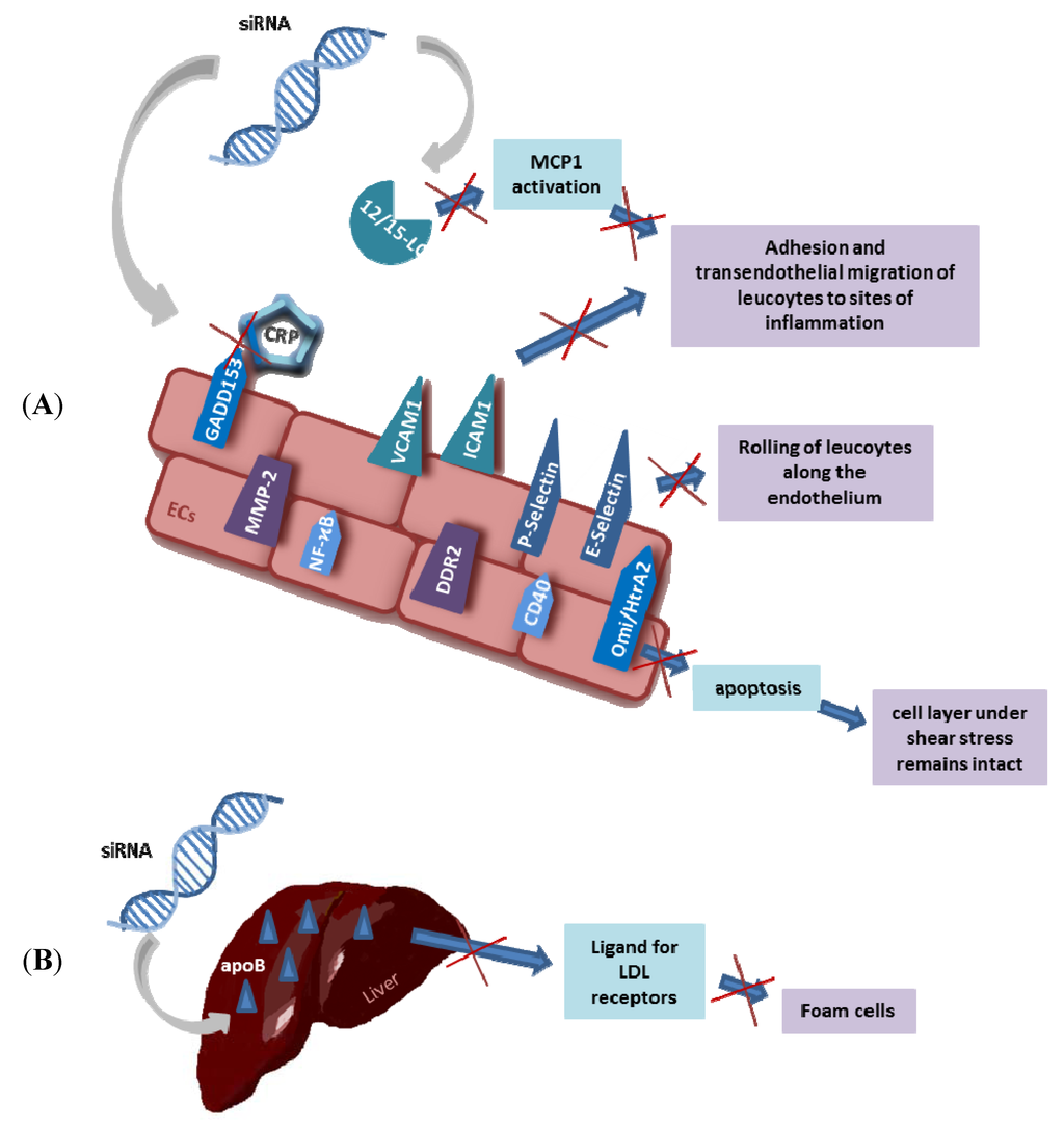 New Aspects of Gene-Silencing for the Treatment of New Aspects of Gene-Silencing for the Treatment of