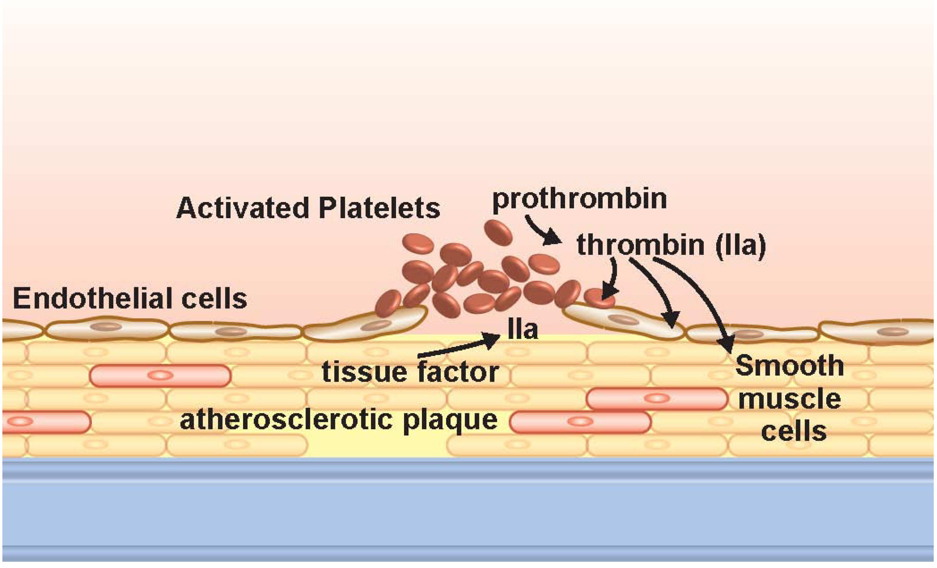 Pharmaceuticals 06 00915 g001 1024