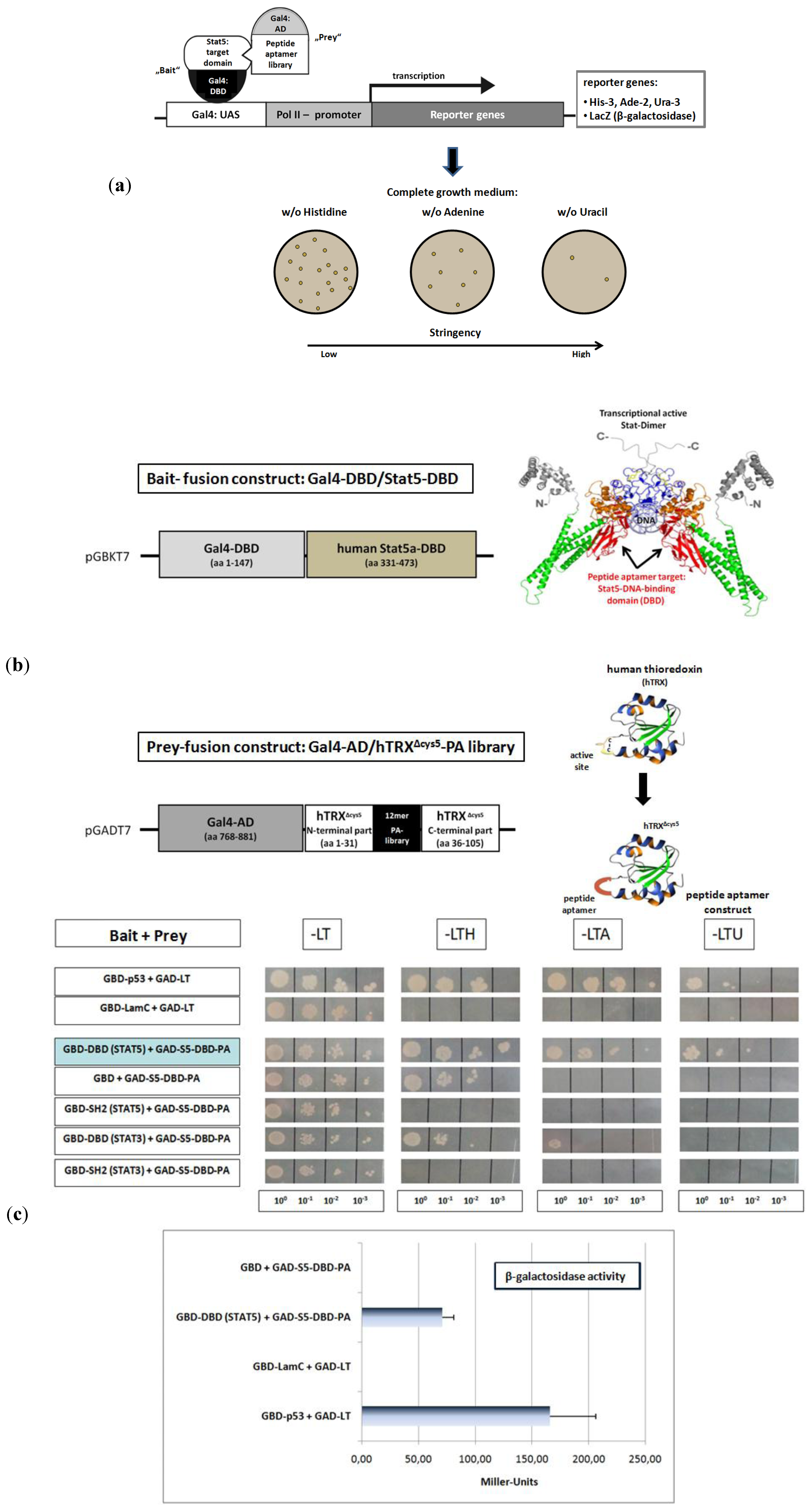 Pharmaceuticals 06 00960 g002 1024