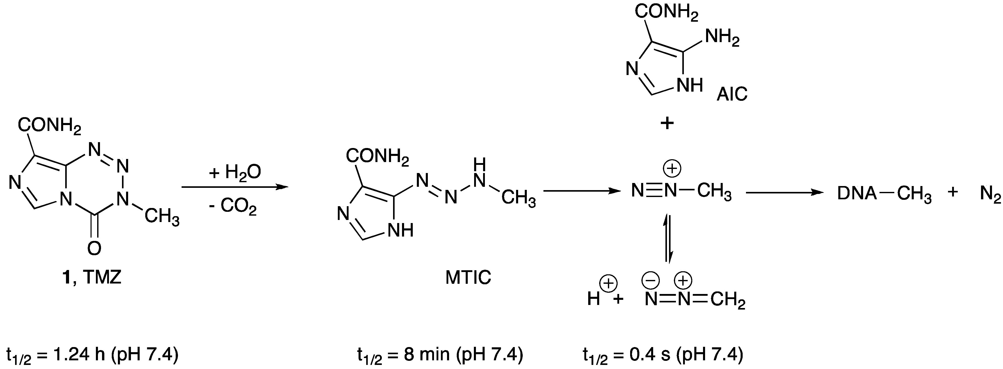 Pharmaceuticals 06 01475 g002